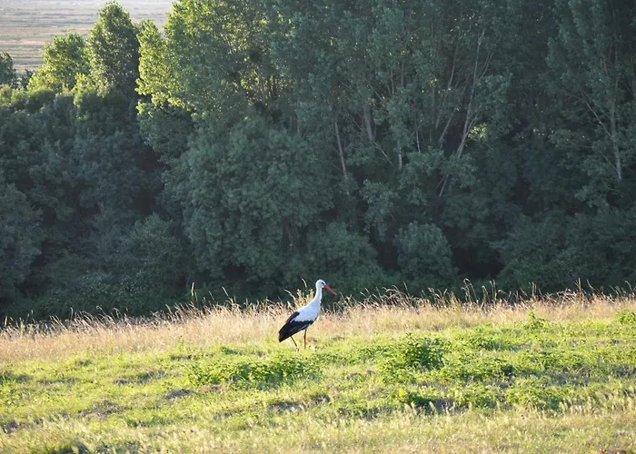 Aix Piscine Intérieure Сasa de vacaciones La-Gripperie-Saint-Symphorien